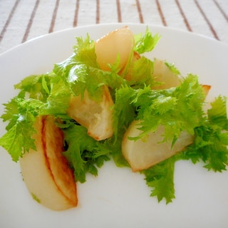 焼きカブとワサビ菜のサラダ